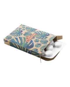 Brändätty minttukarkkipakkaus 10 Eco
