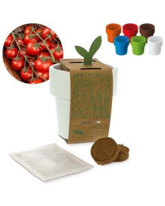 Kahvikuppi-kukkaruukku kirsikkatomaatin siemenillä