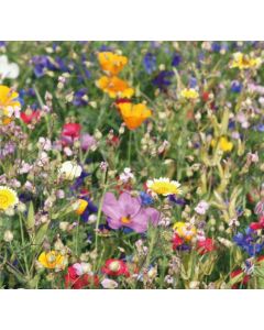 Istutettava siemenpaperiranneke tuo ekologista näkyvyyttä tapahtumiin. Käytön jälkeen kukkii luonnonkukkia – vastuullinen ja erottuva mainosratkaisu. – Mainoslahjaverkkokauppa.fi